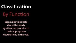 2. The Peptide Protocol Bible - Classification and Types of Peptides