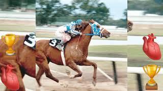 Siega The Great & Secretariat ◇ The Phenomenon