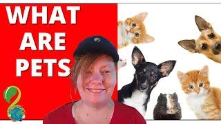 WHAT ARE PETS : EXPLORING THE WONDERFUL WORLD OF ANIMAL COMPANIONSHIP