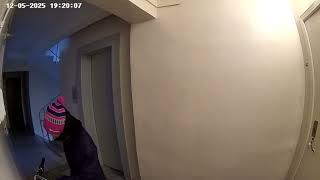 Угнать за 6 секунд