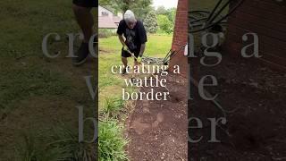 How to create a wattle border (we use crepe myrtle trees). #gardening #garden #historichome #diy