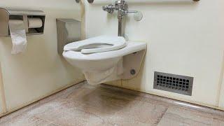 SLOAN Toilet Flushes | Toilets Flushing Desensitization Training | Huge Lounge