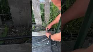 Automatic watering system for the garden #gardening #homestead #wyoming #explore #explorepage