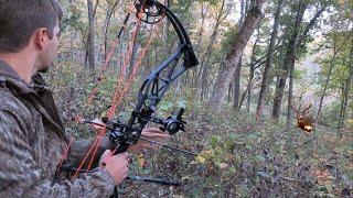 Public Land Deer Hunting!