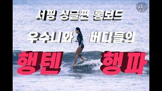 서핑 싱글핀 롱보드 우수니와 버디들의 행텐,행파 조지기