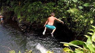 THE ROAD TO HANA!! CLIFF JUMPING, BLACK ROCK BEACH, and BAMBOO FOREST!!