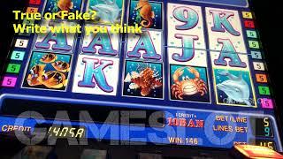 Novomatic GambleHacker BIG WIN / 100% GAMBLE WIN