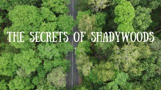 Book Trailer for The Secrets of Shadywoods