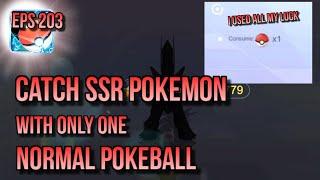 POKEVERSE WORLD EPS 203 : I CATCH SSR WITH ONLY 1 NORMAL POKEBALL (SSR NATURE LV. 4)