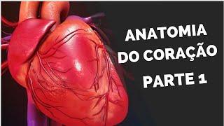 ANATOMIA DO CORAÇÃO (Sist Cardiovascular parte 1)