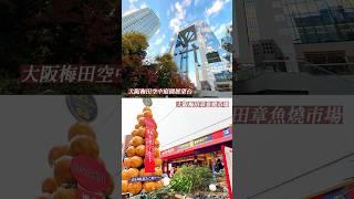 【關西京阪神】關西樂享周遊券｜大阪梅田空中庭園展望台  京都嵐山美食嵐電  神戶布引香草園  Have Fun In Kansai 1 Week Free Pass #日本旅遊 #大阪 #osaka