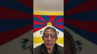 Abo Jamyang November 10th 2024 on unity and tibetan current situation. #awareness #savetibet #voice