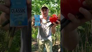 The man made food from what he found in the forest.#bushcraft #camping #survival #outdoors #forest