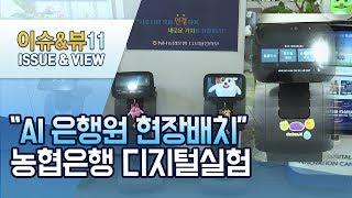 [단독]"AI 은행원 현장배치", 농협은행 디지털실험 / 머니투데이방송 (뉴스)