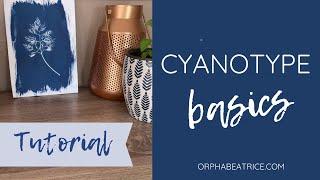 Cyanotype Basics- How to use Jacquard Cyanotype Sensitizer Set (DIY cyanotype prints)