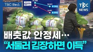 배춧값 안정세… “서둘러 김장하면 비용 절감”ㅣTBC뉴스