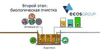 Вода - основа жизни на Земле.