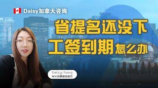 加拿大-省提名没下来，工签到期怎么办？ What to Do if Your Work Permit Expires Before Receiving Provincial Nomination?