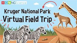 Kruger National Park – Virtual Field Trip