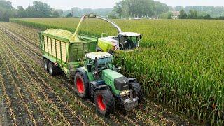 Mais 2024 | Claas Jaguar 960 + 10 Rows | Fendt 924 Vario TMS with Krone | Vragender