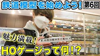 【鉄道模型入門】HOゲージ徹底解説！値段は…素材は…大きさは？【人気・最新車両も紹介】