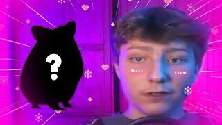 PRAWDZIWA MIŁOŚĆ FOMMIEGO!? *chomiki* @FommyTv