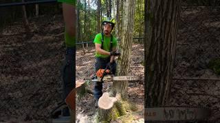 BEST Small Tree Felling Technique for FULL CONTROL 