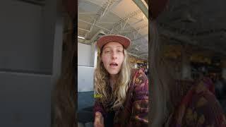 The Untold Secrets of TSA PreCheck: Is It Worth the Hype?