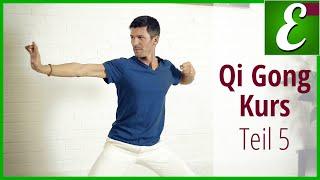 Qi Gong Übungen für Anfänger: Qigong Kurs Teil 5