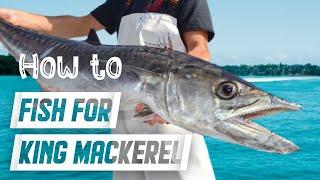 Tips For beginners trying to catch King Mackerel