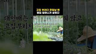 고집 부리다 큰일날 뻔? 옆집 할머니가 살렸다. #shorts #흙심인대호