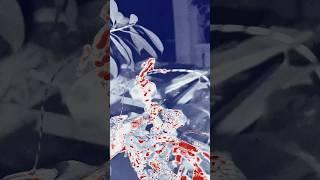 Microcosm vs Necronomicon. The art of resurrection