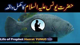 Hazrat Yunus A.S Story in Urdu | Life of Prophet Yunus | Qasas ul anbiya | YUNUS As Ka Waqia