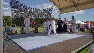 Aikido Vorführung Sportfest Groß-Gerau