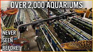 Thousands of Aquariums full of Rare Fish - The Wet Spot Tropical Fish Private Warehouse