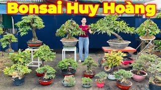 DIỆU HUY | #0939081082 | MỚI NHIỀU CÂY ĐẸP LÊKIMA, VÚ SỮA, ME, TÚC ĐỎ, CHIẾU THỦY, KHẾ, ỔI, SAM, KQ.