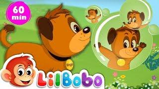 Bingo Dog Song | FlickBox Nursery Rhymes and Kids Songs | Little BoBo Children