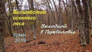 Крым, Судак, Выходной на природе. Листопад и волшебство осеннего леса