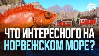 Дождались! Едем на море в поиске вкусных рыб и фарма ● Русская рыбалка 4 ● Перчик РР4