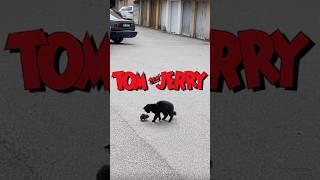 Tom & Jerry are Retired #shorts
