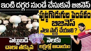 How To Start Mushroom Farming Business | SelfEmployment Business Ideas | Money Factory