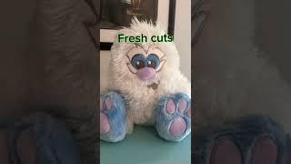 Barber chops 2