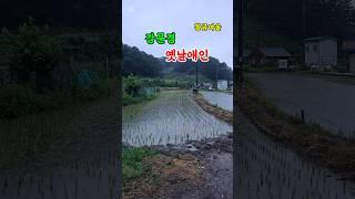 강문경 옛날애인