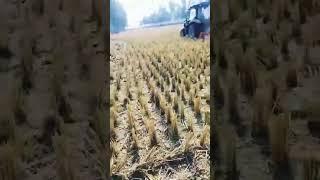 Cultivation Testing with LOVOL 504-B AC Cabin Tractor | LOVOL Tractor | #banglamark #lovoltractors