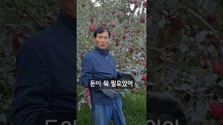 유기농은 돈이 중요한 게 아니다!