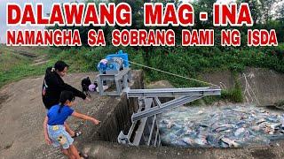 Nasaksihan Ng Dalawang Mag Ina Ko Ang Libo Libong Isda Sa Ilog Ng Taiwan