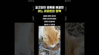 '길고양이 문제'를 해결한 어느 아파트의 정책
