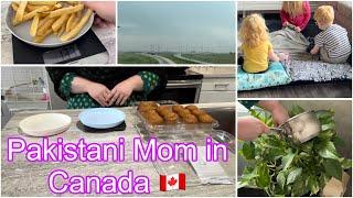 Pakistani Mum Vlogger in Canada | WHY I QUIT MY JOB | Job Q Chorrni Parri 