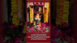 Goga Ji Maharaj Sunny nath and party Live