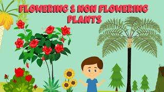 Flowering and non flowering plants | Plant life cycle | Video for Kids